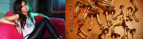 скорость Покровск
