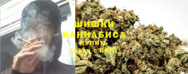 ПСИЛОЦИБИНОВЫЕ ГРИБЫ Алексин