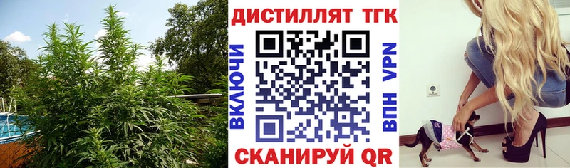 Дистиллят ТГК концентрат  Большой Камень 