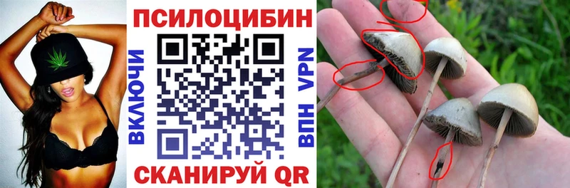 дарнет шоп  Большой Камень  Галлюциногенные грибы Magic Shrooms 